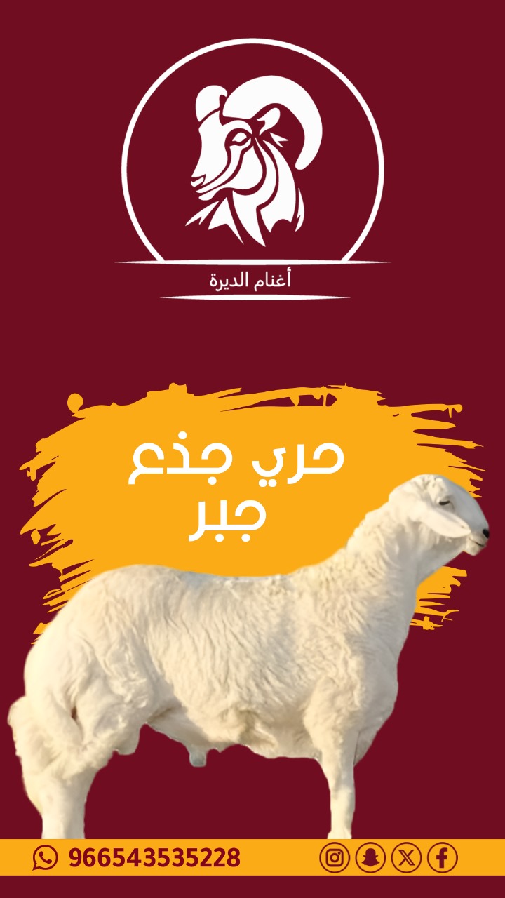 حري بلدي جبر من 25 الي 27 ك